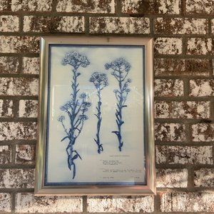 Blue and White Modern Classic Botanical Flower Framed Wall Art PEARLY EVERLASTIN